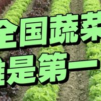 在中国，谁才是蔬菜第一大省？凭什么第一？