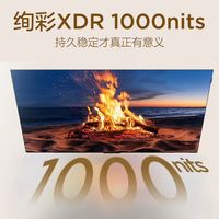 小客厅画质优选✨TCL 50T6M QD-MiniLED 电视