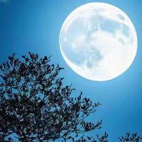 降血脂鱼油哪个牌子好？先纠正概念，再看高EPA与备案功能