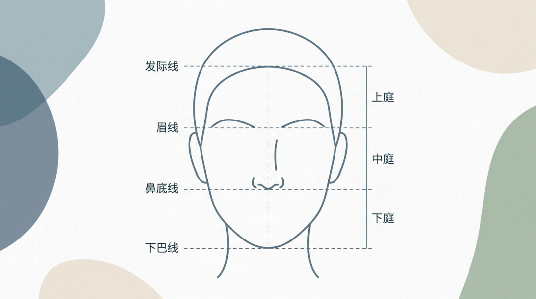 蛇精脸vs国字脸:为什么新一代男星,总被说不如老一代耐看