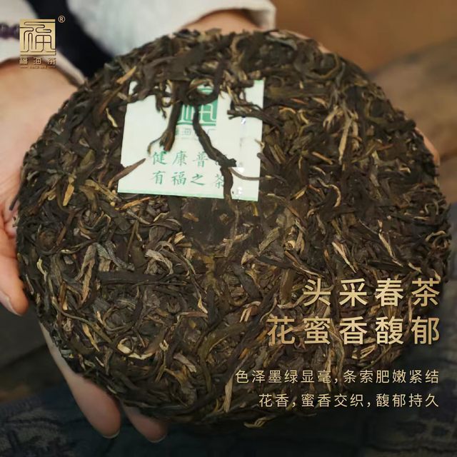 🍵福海茶厂 2026 年 9846 经典唛号生普
