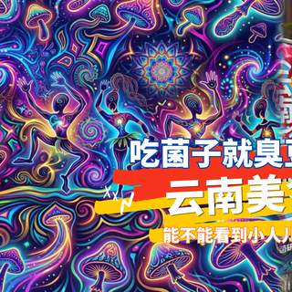 吃菌子见手青就臭豆腐能看到小人儿？十一天云南游记——篇二
