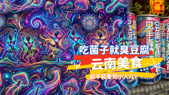吃菌子见手青就臭豆腐能看到小人儿？十一天云南游记——篇二