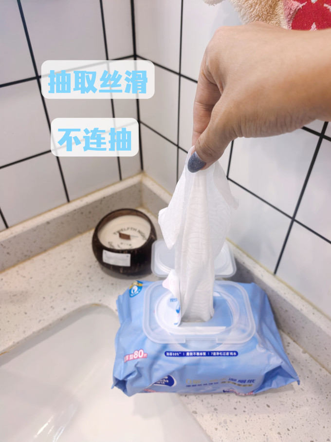 湿厕纸