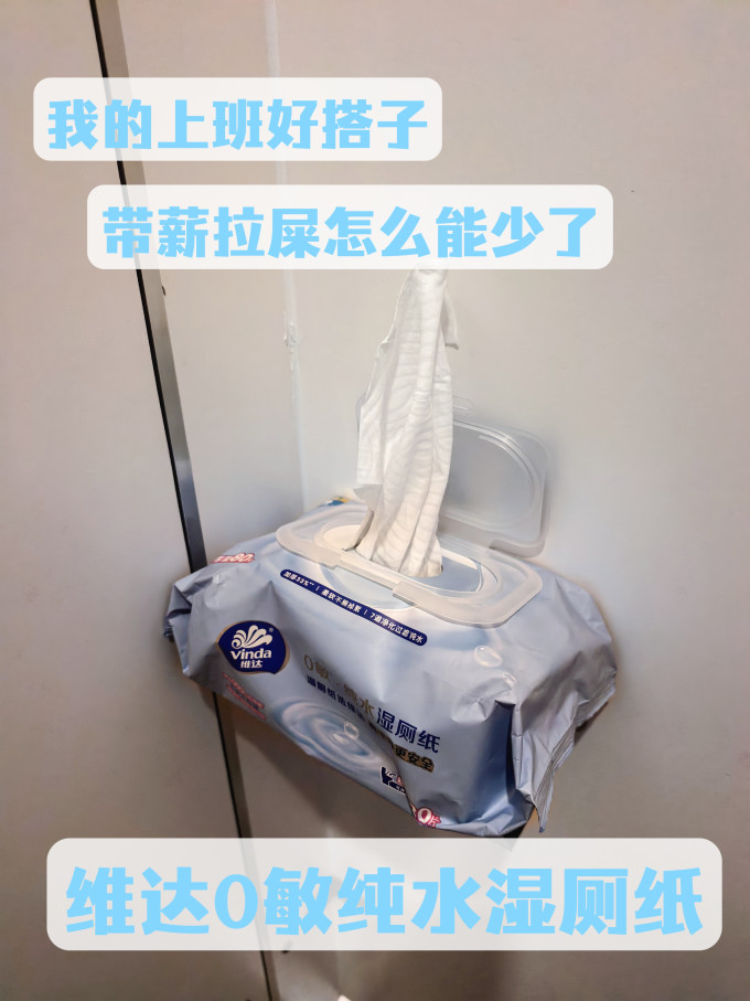 湿厕纸