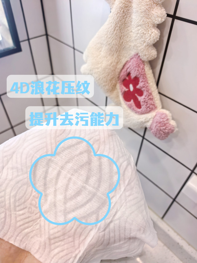湿厕纸
