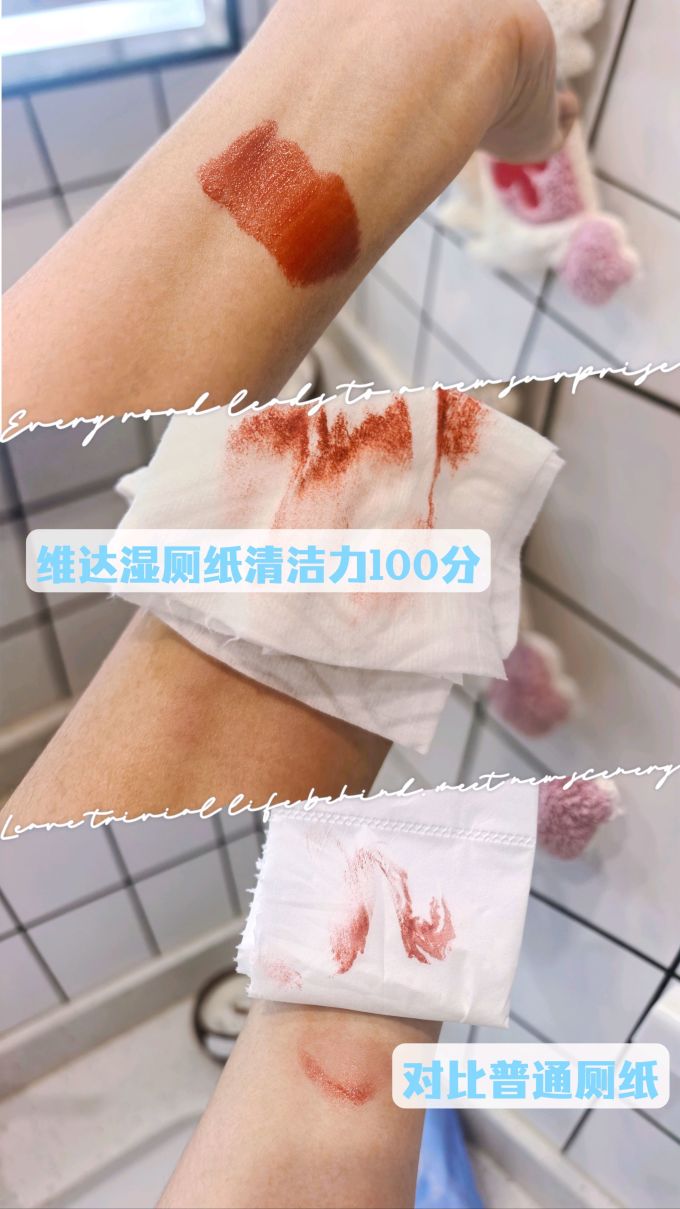 湿厕纸