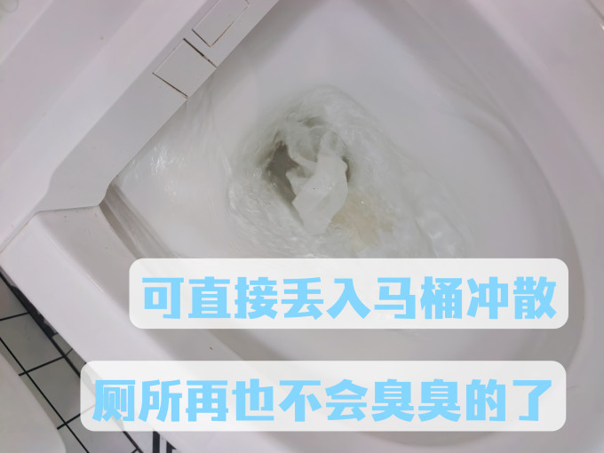湿厕纸