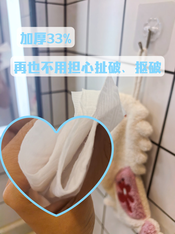 湿厕纸