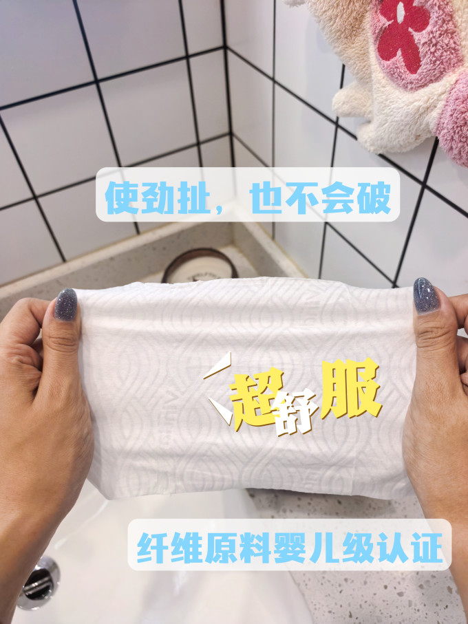 湿厕纸