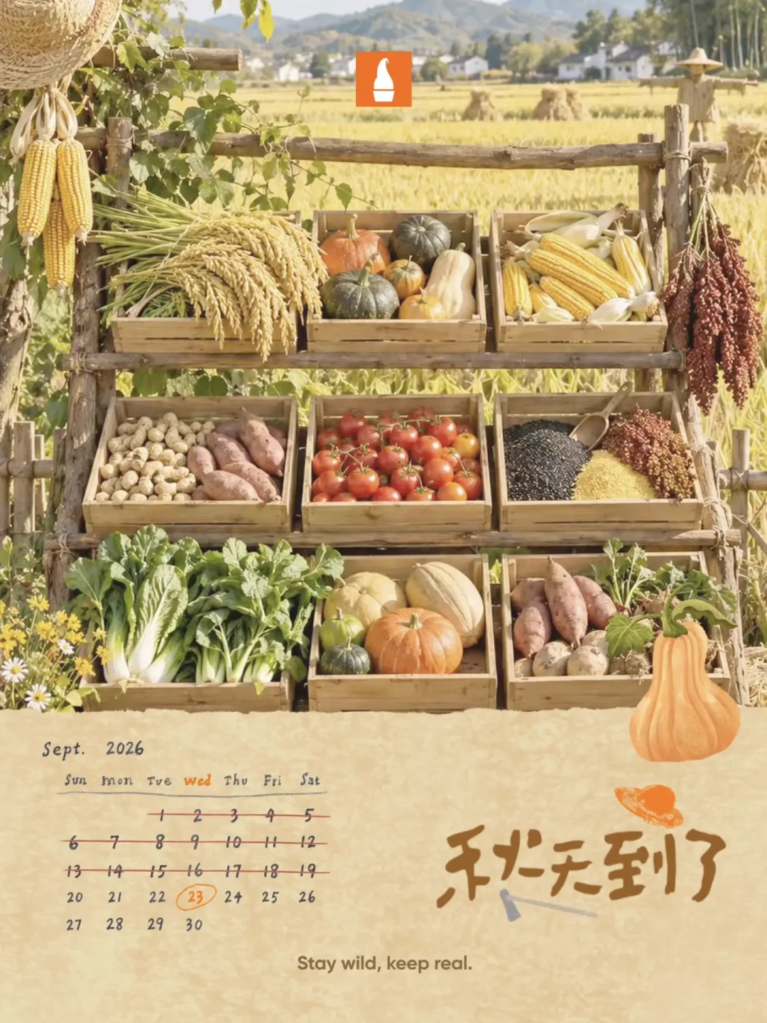 风波后的野人先生,我翻完30条现场帖和一份“员工考卷”:第一次去这样吃最不亏
