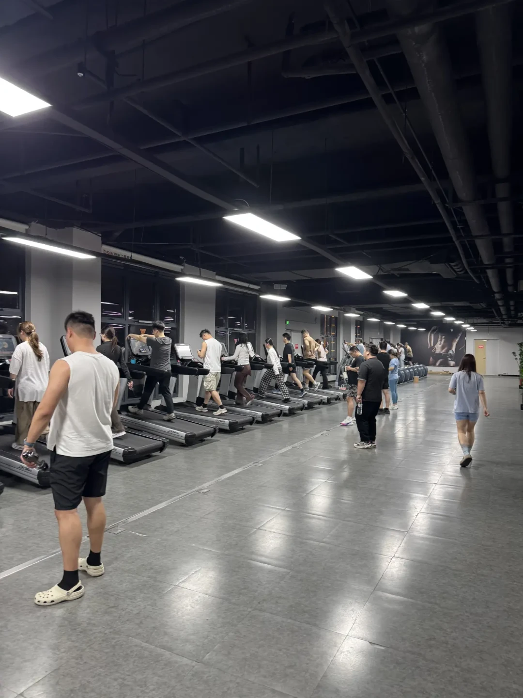 全网都在骂的「健身房福寿螺」:占三对哑铃真不是红线,被默认的规矩其实只有三条