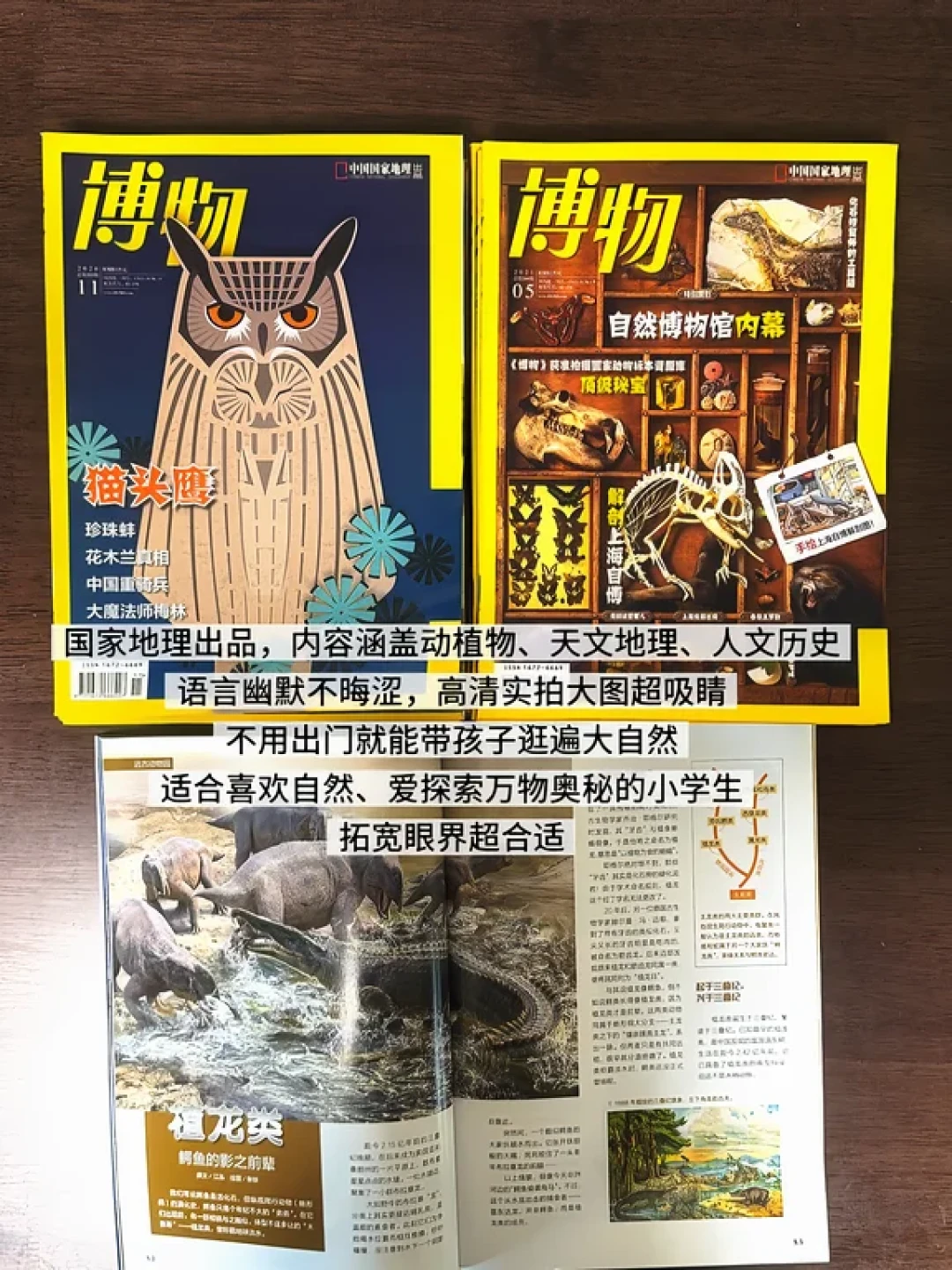 《好奇号》《万物》《博物》都是五星,排位却打架:对齐五份高赞测评,6-12岁科普杂志按娃对号入座