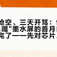 一分钟抢空、三天开骂：9月这波"小鼻嘎"墨水屏的首月口碑，我全对完了——先对芯片，再问微读，最后才看你缺不缺口袋机