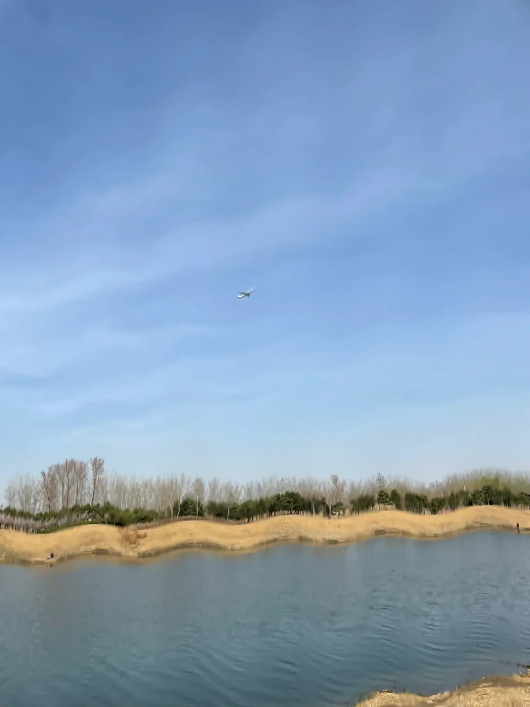 手机对焦越来越差,先别怪手机老了:翻完爆款视频下700条评论,我把「震坏、飞掉、被偷」三笔账分开算