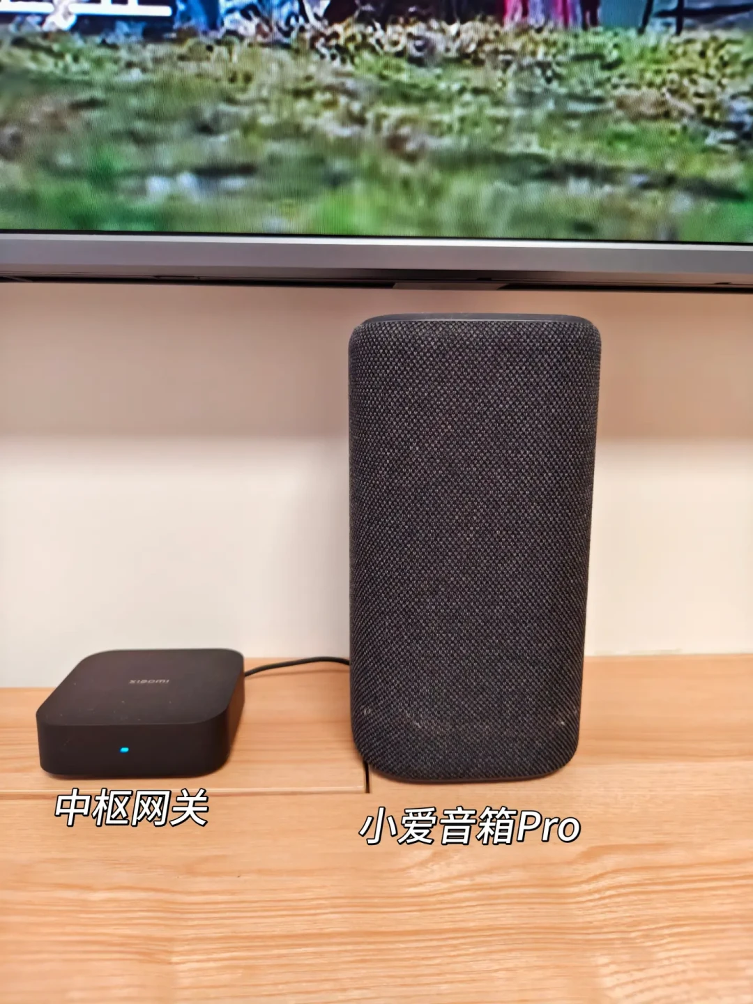 精装房没零线的求助帖吵了105条:核完穿零线50元一格的报价、56条鬼火求助和四条后装路线,换开关前先把这4个数对清楚