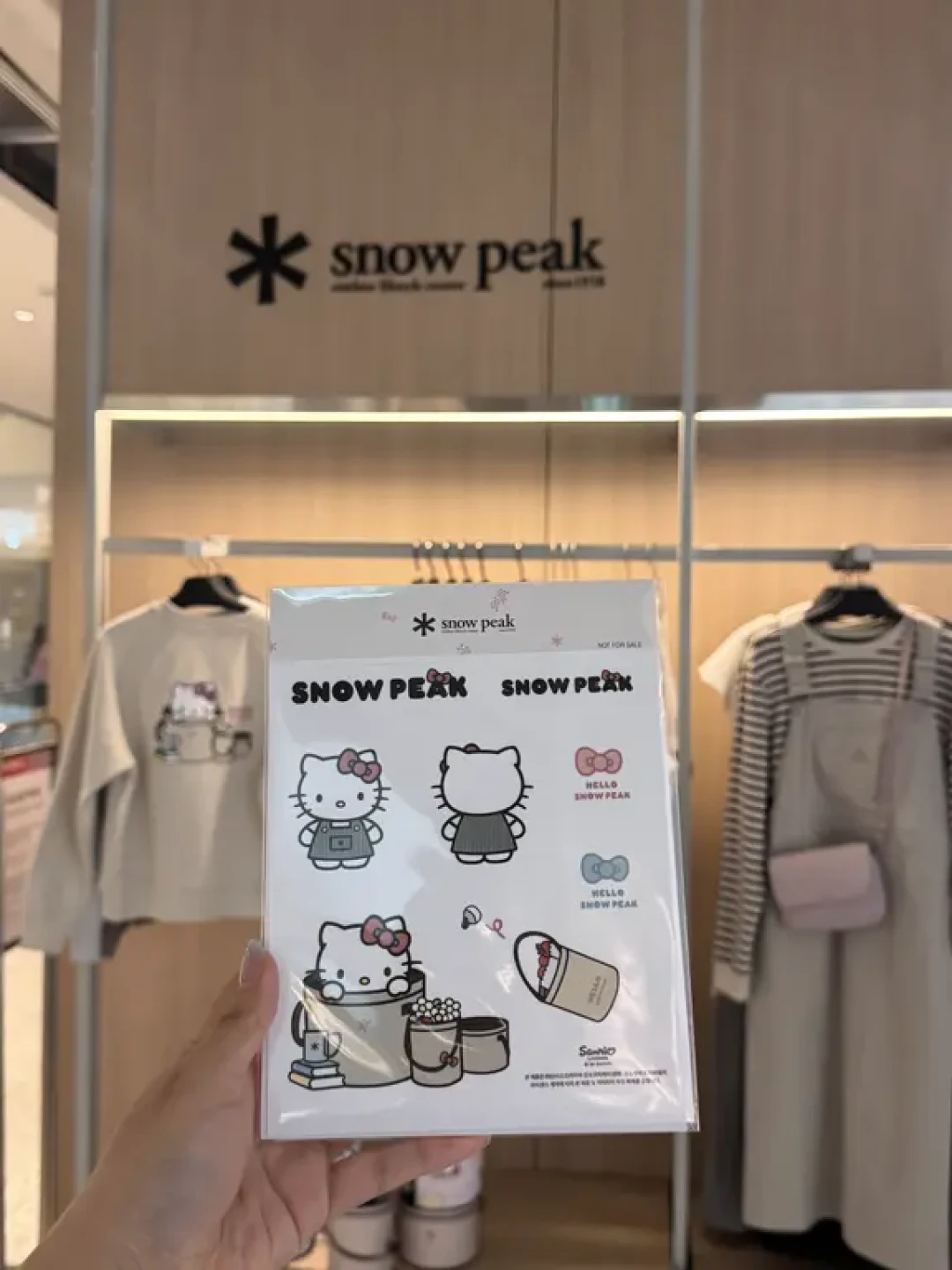 金高银接棒泰亨之后:买一件Snow Peak衣服,为什么要先搞清三个体系