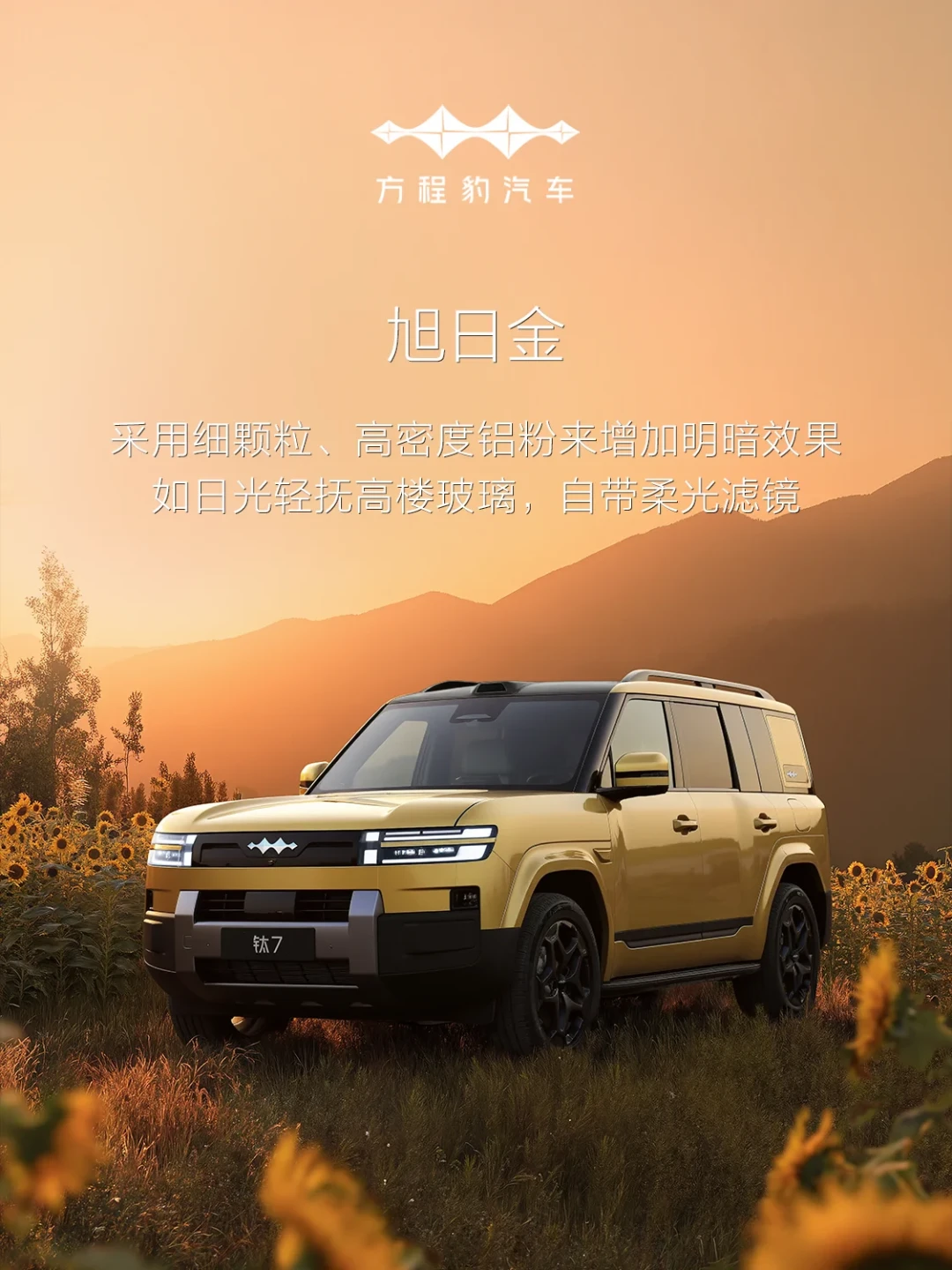 全网把钛6吹成