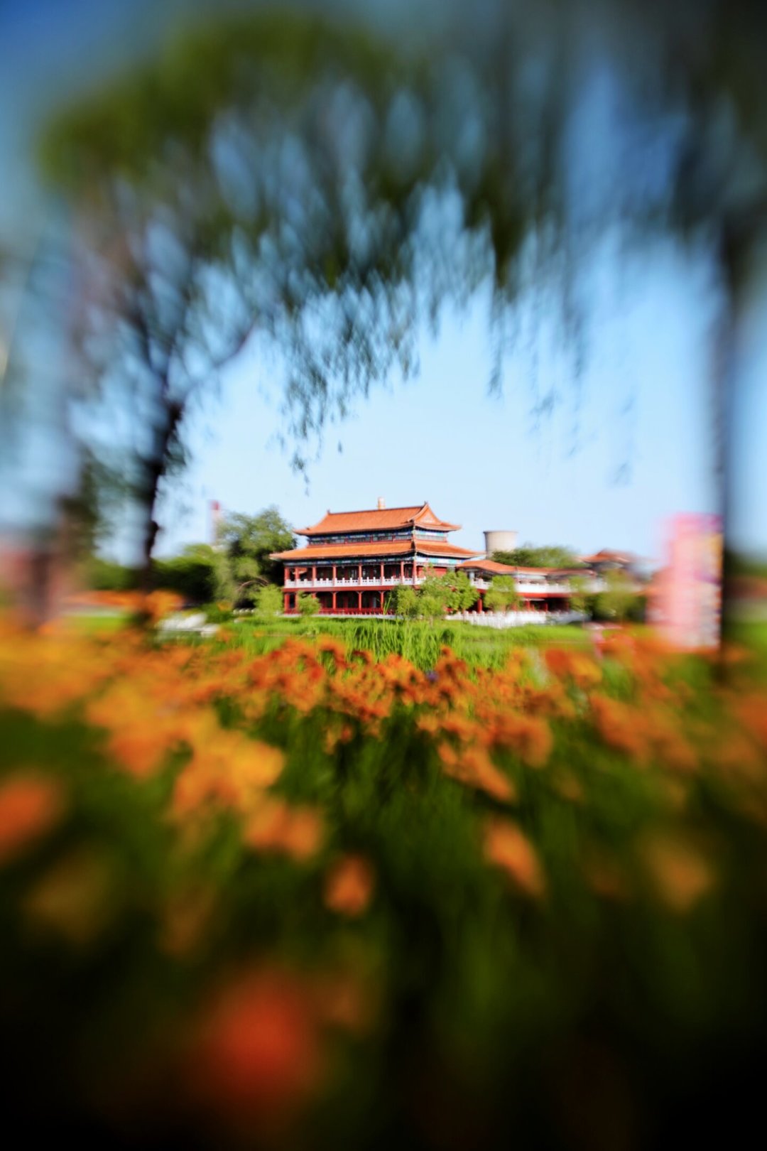23mm入局「繁花」:七工匠把炸焦卖到2000+,这支紫色镜头到底谁在等