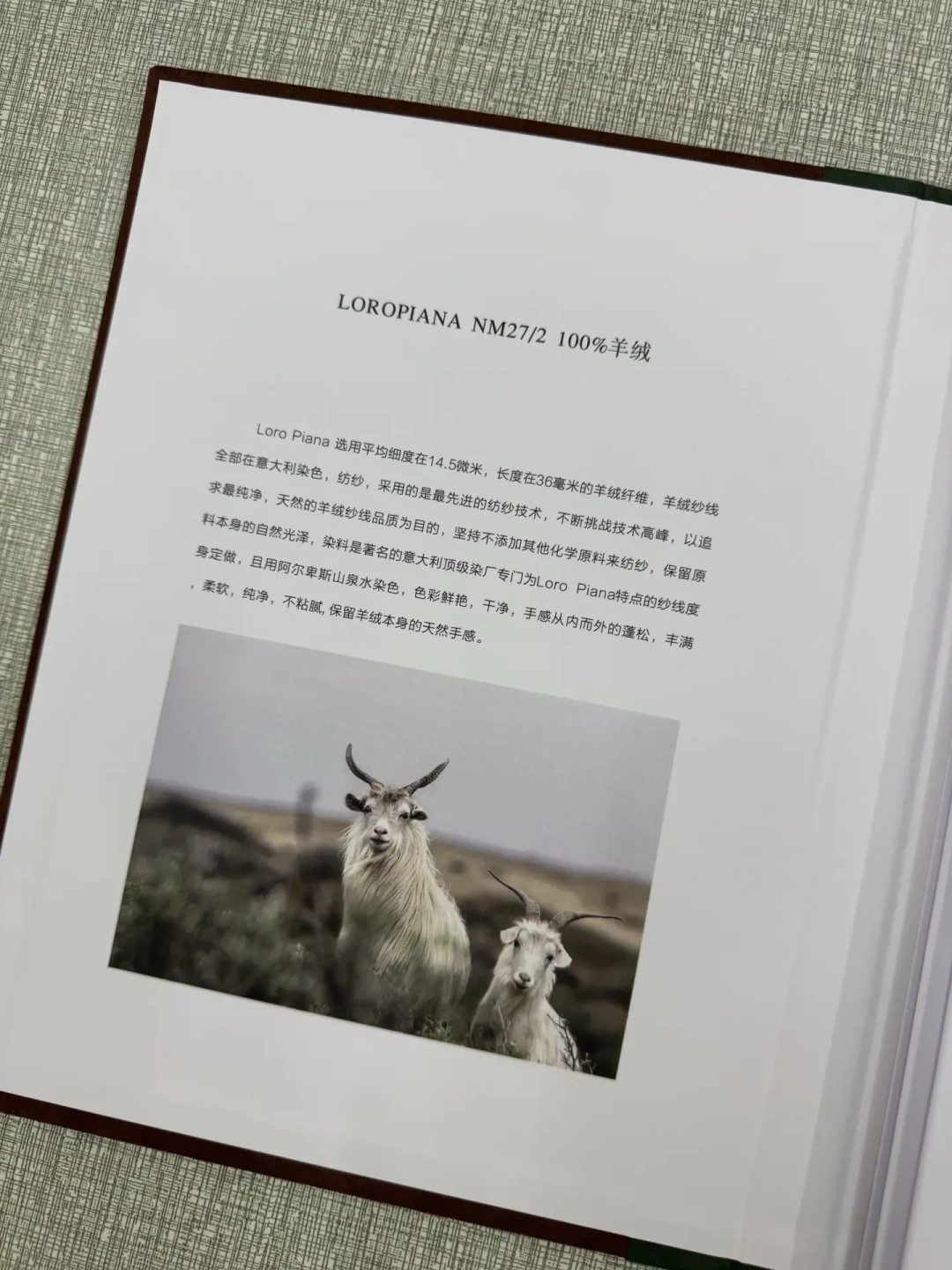 穿两次就起球?退不掉?花上万买了 Loro Piana,羊绒却不敢穿不敢洗:近千条评论给出这份秋冬养护清单