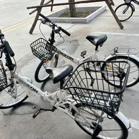 "踩10分钟，心脏砰砰还腿软"：飞鸽300块的折叠车，小轮子真的费力吗？我把最近一个月的帖子翻了个底朝天