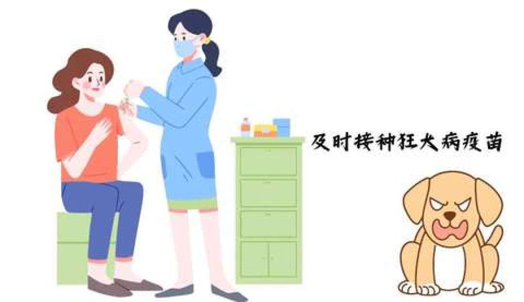 9/28世界狂犬病日｜狂犬疫苗141年、中国连续两年反弹：刷屏的4句说法，我把医史、副作用、打针账逐条核了