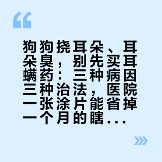 狗狗挠耳朵、耳朵臭，别先买耳螨药：三种病因三种治法，医院一张涂片能省掉一个月的瞎折腾