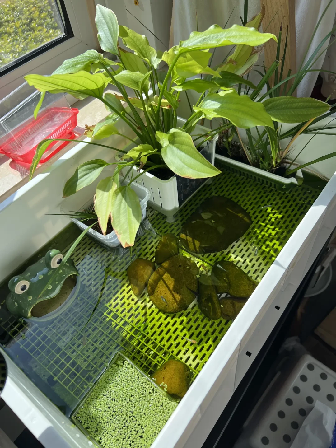 9月满屏都在问