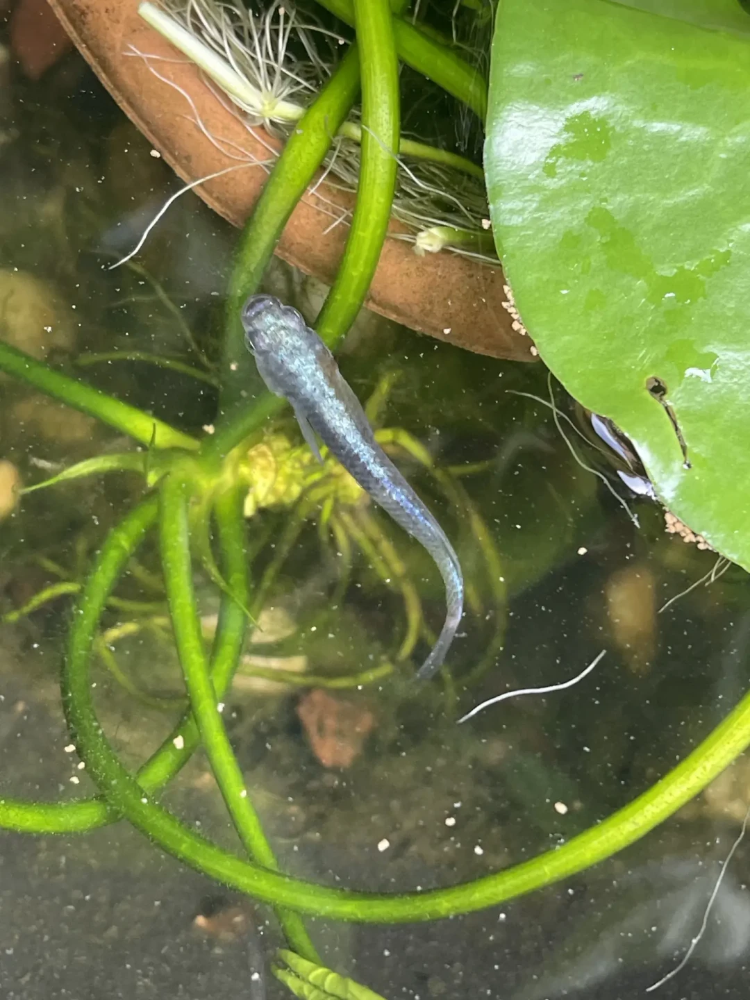 9月满屏都在问