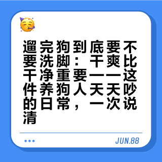 遛完狗到底要不要洗脚：干爽比干净重要——这件养狗人天天吵的日常，一次说清