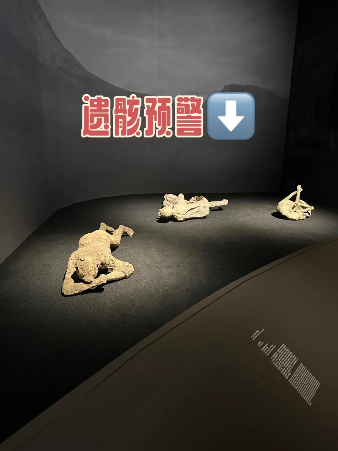 遇难者是