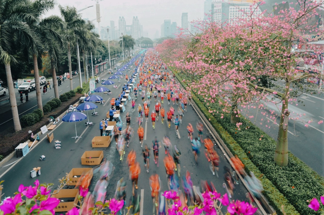 一场陪跑收几千：官兔追不上、私兔没标价，秋天冲全马的人这笔账怎么算？