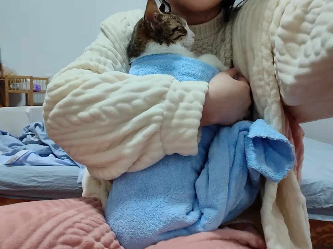 猫凌晨三点开始哭,9-10月是第二个