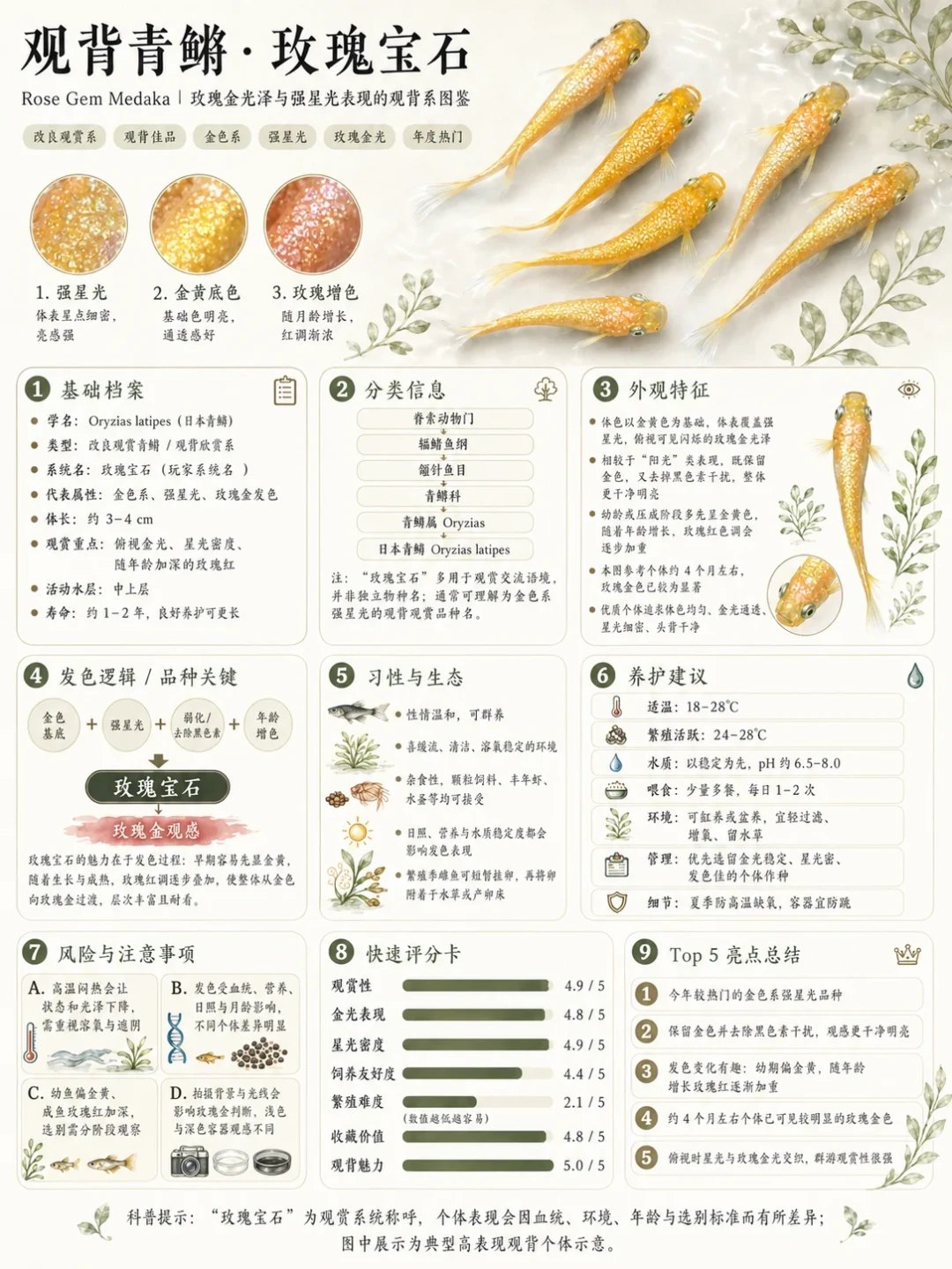 秋分前后白点高发,但先别急着下药:观背青鳉身上的
