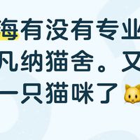 被萨凡纳猫的颜值种草？我扒了一圈真铲屎官的日常：5个罐头不够吃、白天“开演唱会”