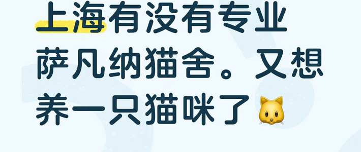 被萨凡纳猫的颜值种草？我扒了一圈真铲屎官的日常：5个罐头不够吃、白天“开演唱会”