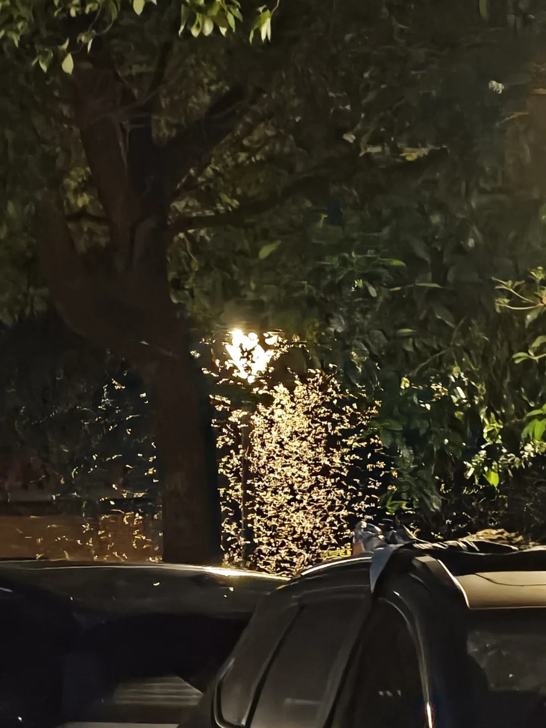 秋雨夜拍窗的