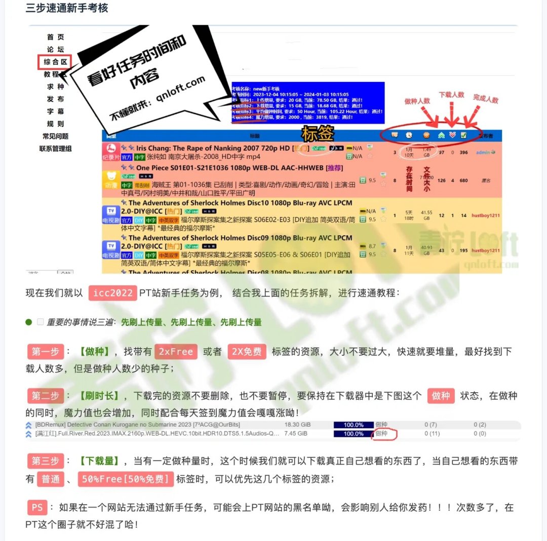 挂了一个月种,上传量还停在5G:PT新人的第一场考核,别急着硬挂
