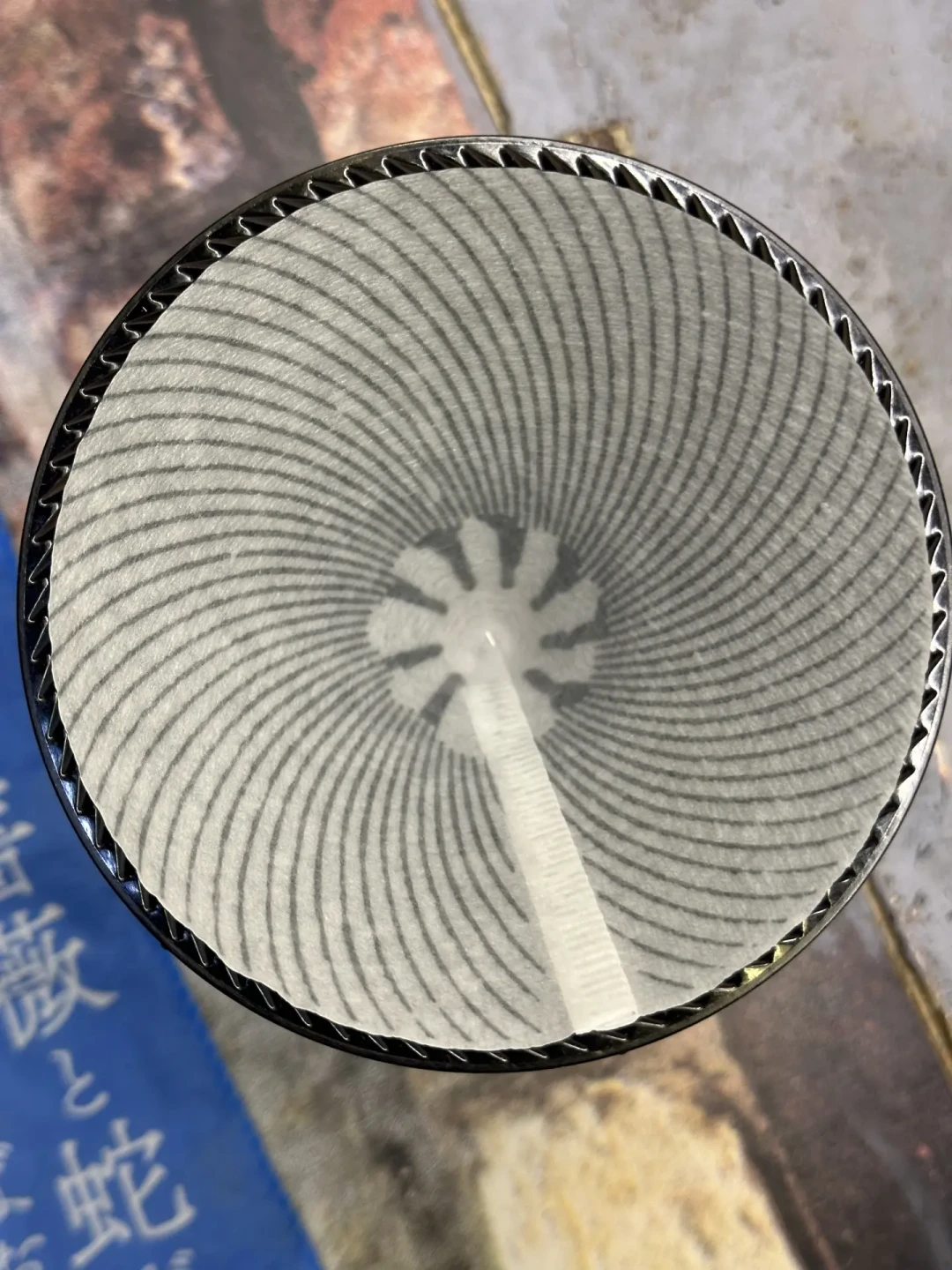 今天官宣的这只