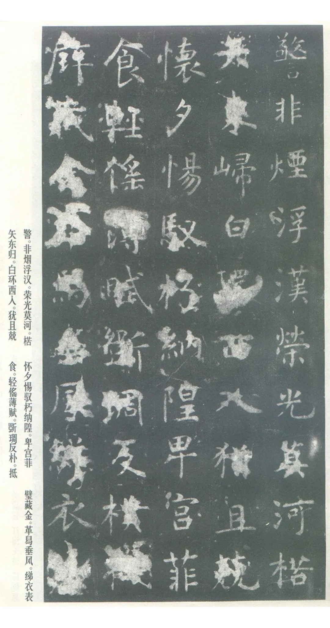 虞世南