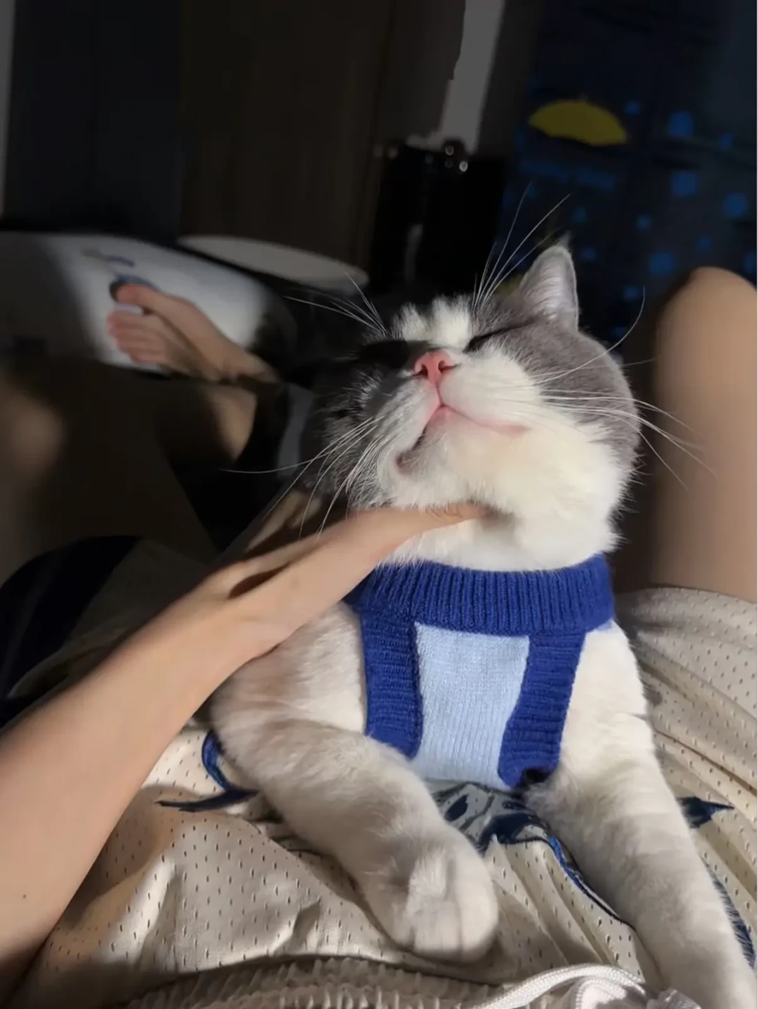 刷屏的