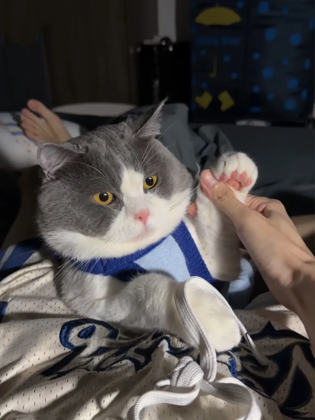 刷屏的