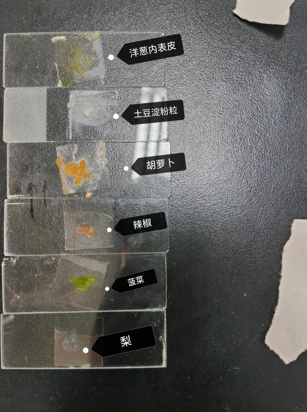 4-6年级科学课本这学期全换了新版：我把新旧“单元搬家图”核了一遍——六年级重学的、可能漏学的，都在这份清单里