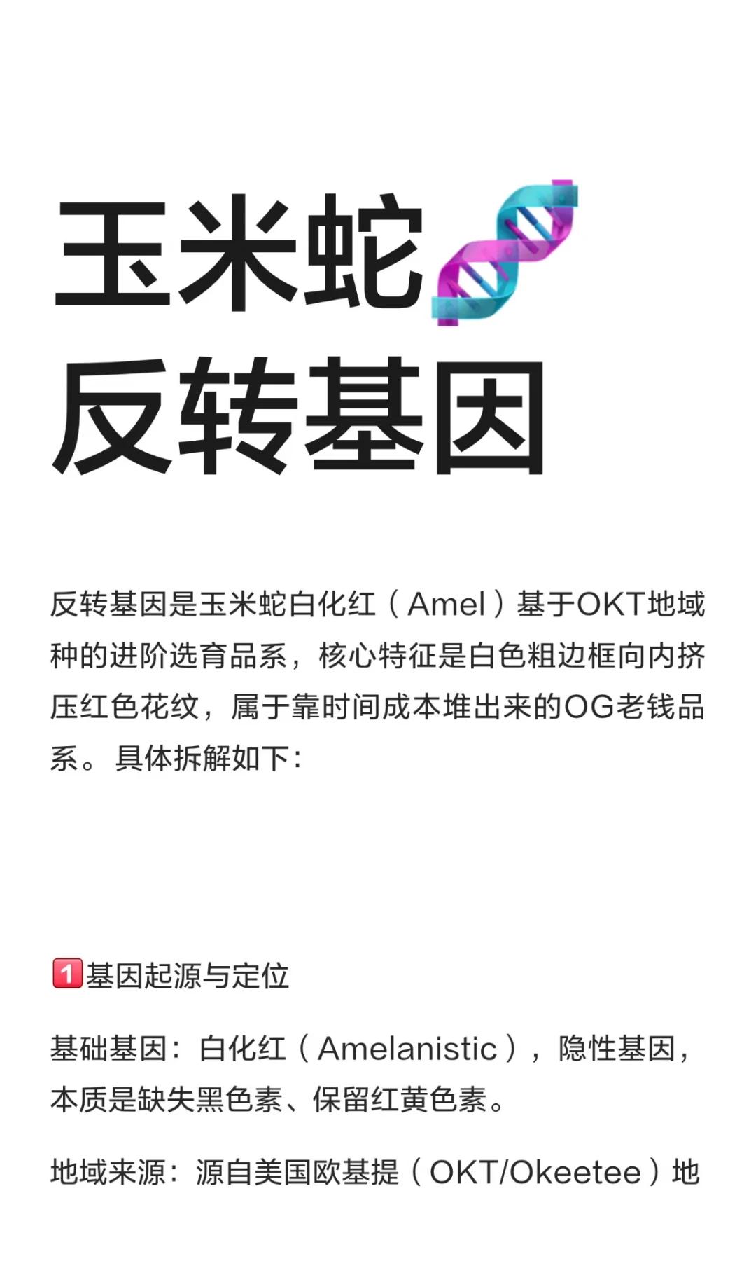 体验馆1620一条白化红:玉米蛇的价差到底差在哪,第一只该花多少钱