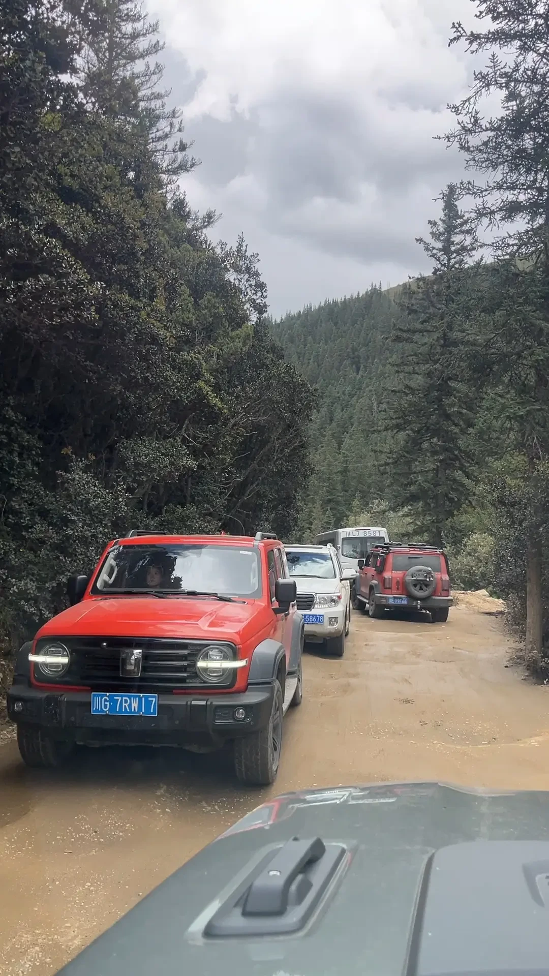 小红书一周31条摩旅找搭子帖:日均200公里的和日均445公里的,组队前先把这四笔账对完