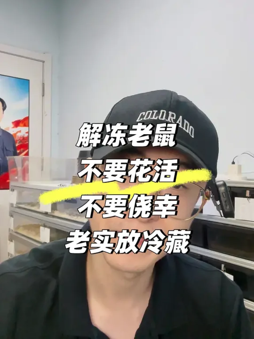 降温后蛇开始拒食、趴冷区:先别急着冬化,这道题考的是你有没有繁殖计划