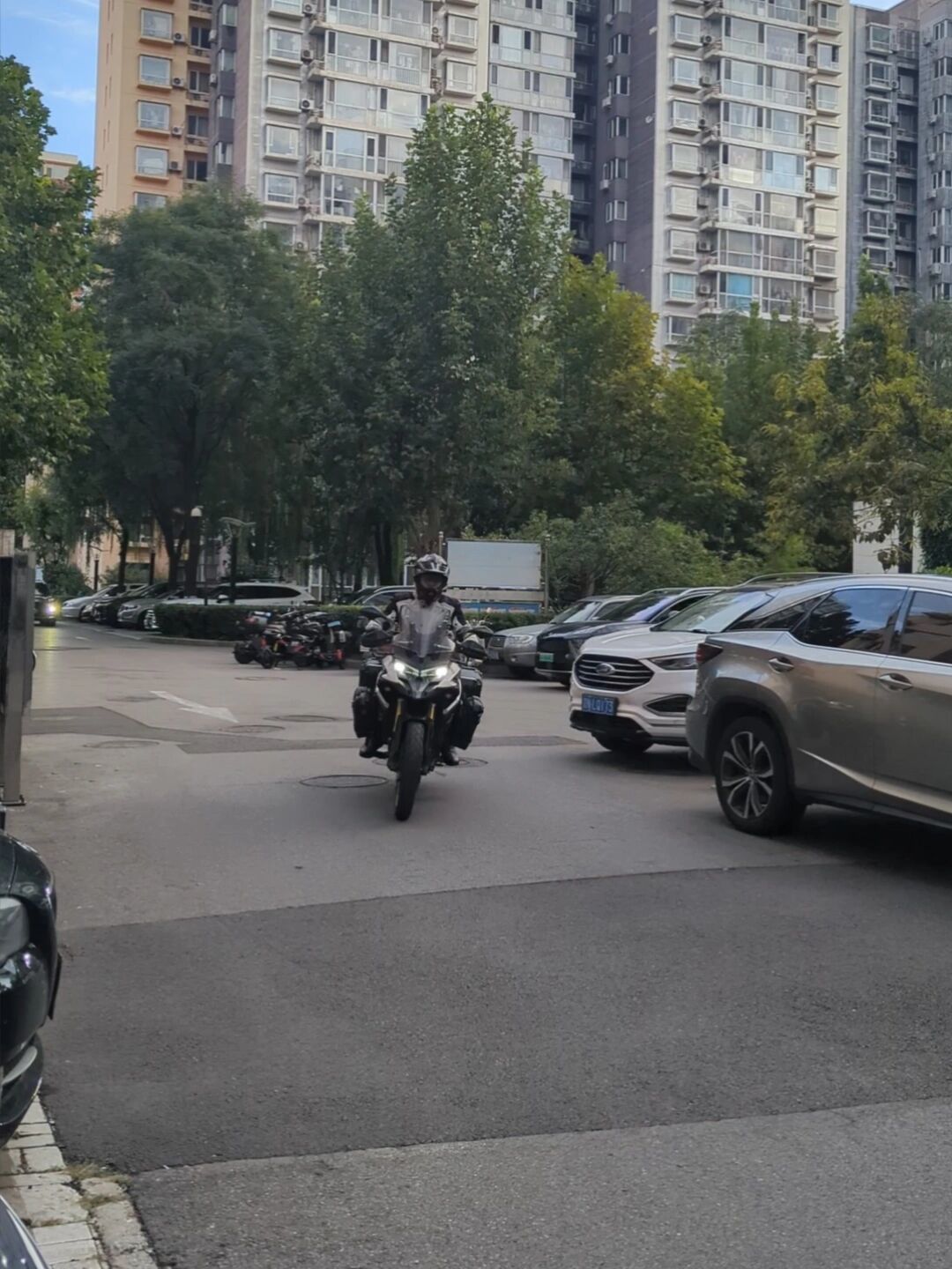 G331棕熊堵路刷屏：十一想冲北境环线的骑士，先把熊、加油、封路、秋景这四笔账算清