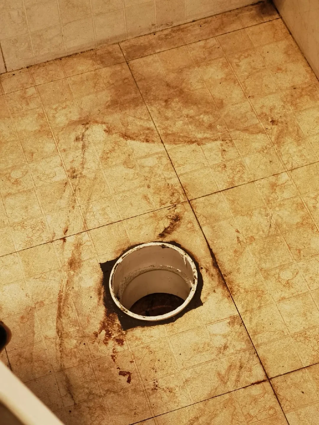 装恒洁要