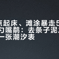 凌晨3点起床、滩涂暴走5公里却没看到勺嘴鹬：去条子泥之前，先看懂一张潮汐表