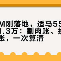 663GM刚落地，适马556就跌到闲鱼1.3万：割肉账、换门账、捡漏账，一次算清